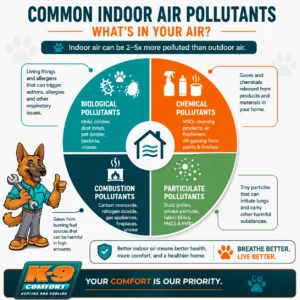 k9-comfort-common-indoor-air-pollutants